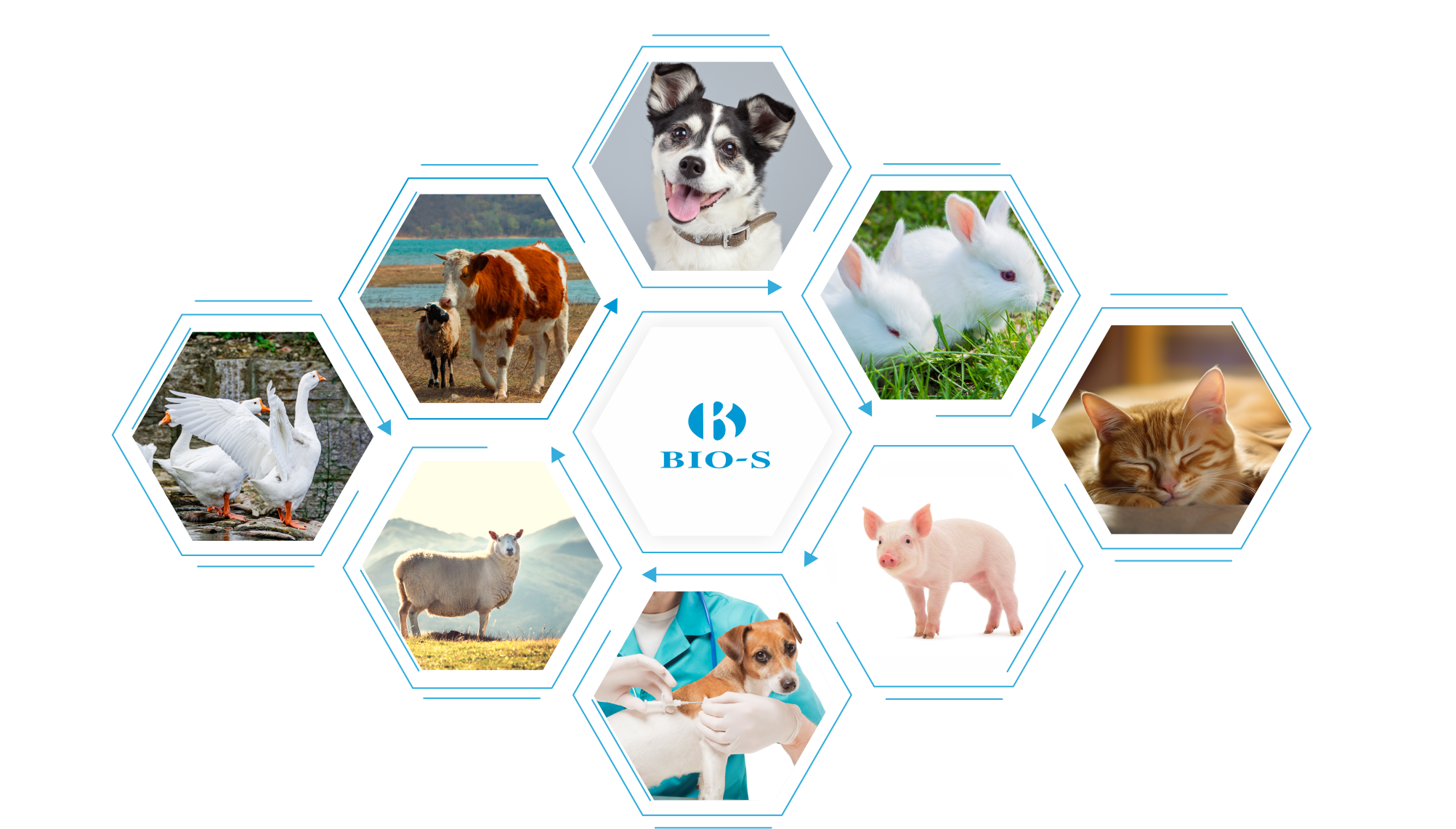 1705894577937208LtIT.png 動(dòng)保-圖.png